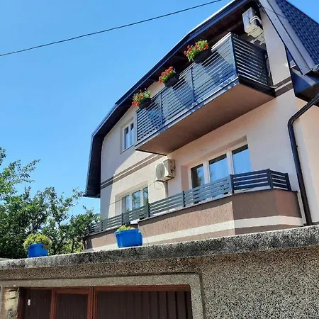 Apartment Kovaci *