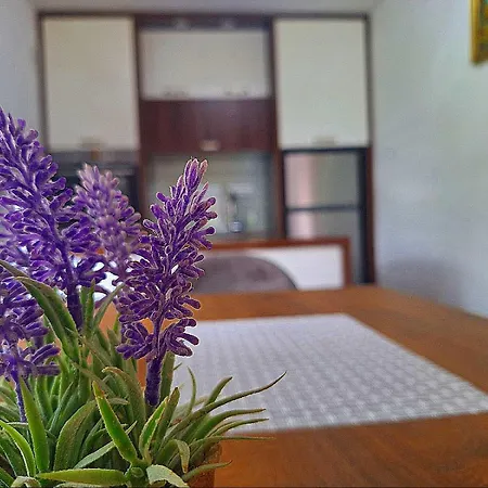 Apartment Kovaci